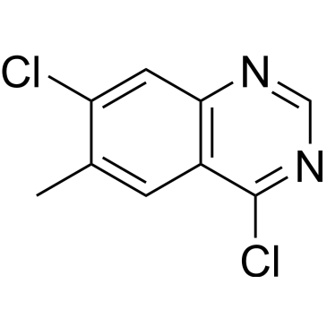 4,7-Dichloro-6-methylquinazoline|CS-0688923