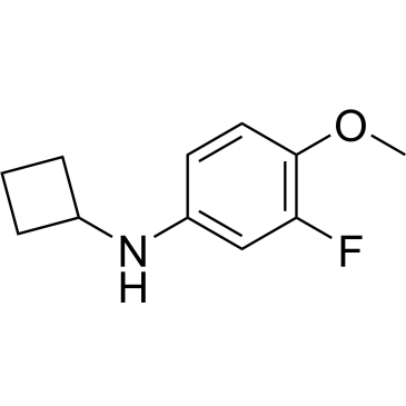 N-Cyclobutyl-3-fluoro-4-methoxyaniline|CS-0692980