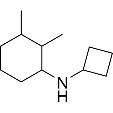 N-Cyclobutyl-2,3-dimethylcyclohexan-1-amine|CS-0693123