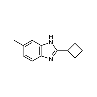 2-Cyclobutyl-6-methyl-1h-benzo[d]imidazole|CS-0693201