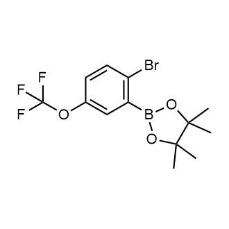 2-(2-Bromo-5-(trifluoromethoxy)phenyl)-4,4,5,5-tetramethyl-1,3,2-dioxaborolane|CS-0693584