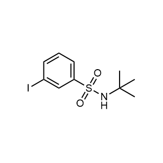N-(tert-Butyl)-3-iodobenzenesulfonamide|CS-0694175