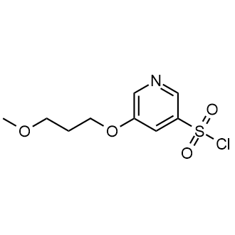 5-(3-Methoxypropoxy)pyridine-3-sulfonyl chloride|CS-0694213