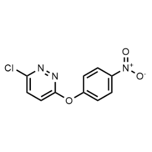 3-Chloro-6-(4-nitrophenoxy)pyridazine|CS-0699443