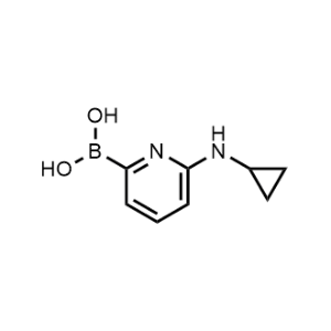 (6-(Cyclopropylamino)pyridin-2-yl)boronic acid|CS-0699673