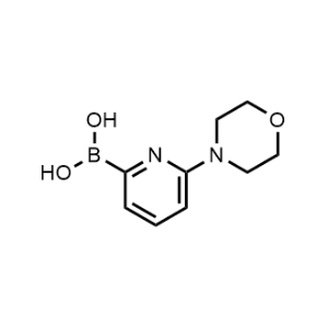 (6-Morpholinopyridin-2-yl)boronic acid|CS-0699680