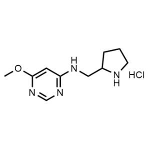 6-Methoxy-N-(pyrrolidin-2-ylmethyl)pyrimidin-4-amine hydrochloride|CS-0708110