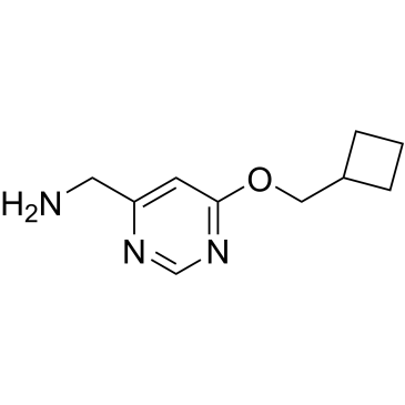 (6-(Cyclobutylmethoxy)pyrimidin-4-yl)methanamine|CS-0709651
