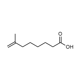 7-Methyl-7-octenoic acid|CS-0710276