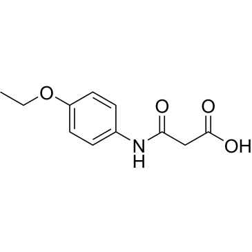 3-((4-Ethoxyphenyl)amino)-3-oxopropanoic acid|CS-0713534