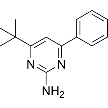 4-(tert-Butyl)-6-phenylpyrimidin-2-amine|CS-0713772