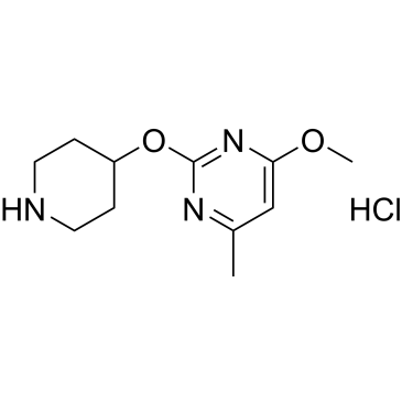 4-Methoxy-6-methyl-2-(piperidin-4-yloxy)pyrimidine hydrochloride|CS-0714271