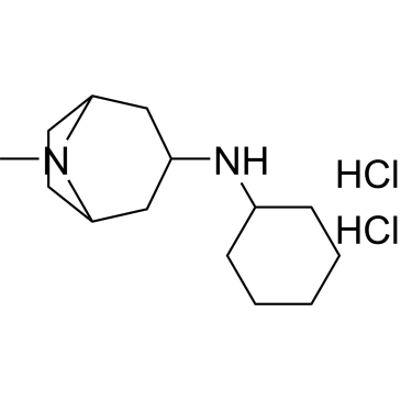 N-Cyclohexyl-8-methyl-8-azabicyclo[3.2.1]octan-3-amine dihydrochloride|CS-0714690