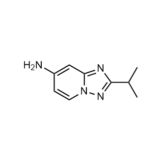 2-Isopropyl-[1,2,4]triazolo[1,5-a]pyridin-7-amine|CS-0719109