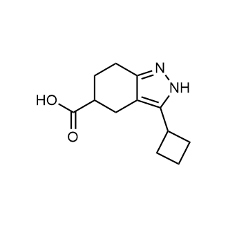 3-Cyclobutyl-4,5,6,7-tetrahydro-1H-indazole-5-carboxylic acid|CS-0719995