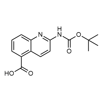 2-((tert-Butoxycarbonyl)amino)quinoline-5-carboxylic acid|CS-0720436