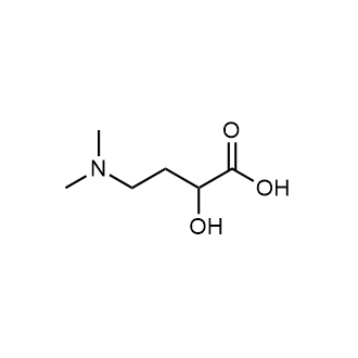 4-(Dimethylamino)-2-hydroxybutanoic acid|CS-0726323