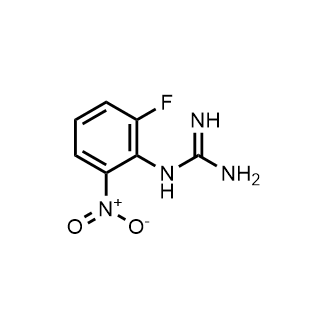 1-(2-Fluoro-6-nitrophenyl)guanidine|CS-0730776