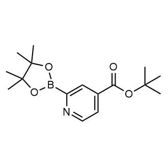 tert-Butyl 2-(4,4,5,5-tetramethyl-1,3,2-dioxaborolan-2-yl)isonicotinate|CS-0732000