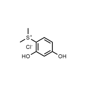 Dimethyl-2,4-Dihydroxyphenylsulfonium chloride|CS-0739114