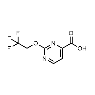 2-(2,2,2-Trifluoroethoxy)Pyrimidine-4-carboxylic acid|CS-0744501