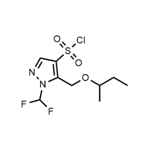 5-(Sec-Butoxymethyl)-1-(difluoromethyl)-1H-pyrazole-4-sulfonyl chloride|CS-0744906