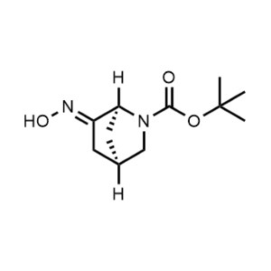 Tert-butyl (1S,4R,6Z)-6-hydroxyimino-2-azabicyclo[2.2.1]heptane-2-carboxylate|CS-0746599