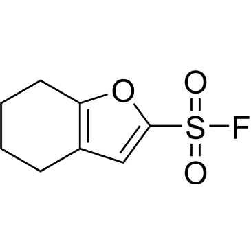 4,5,6,7-Tetrahydro-1-benzofuran-2-sulfonyl fluoride|CS-0748482