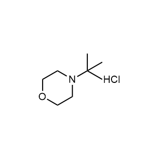 4-Tert-butylmorpholine hydrochloride|CS-0748840