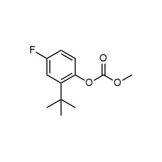 2-(Tert-butyl)-4-fluorophenyl methyl carbonate|CS-0749946