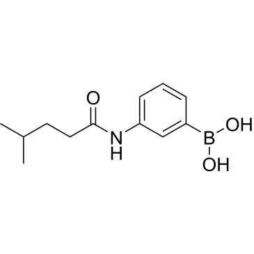 3-(4-Methylpentanamido)phenylboronic acid|CS-0752085