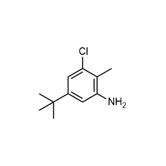 5-Tert-butyl-3-chloro-2-methylaniline|CS-0758224