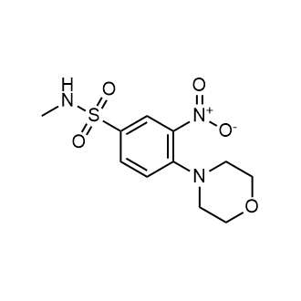 N-Methyl-4-Morpholin-4-yl-3-nitro-benzenesulfonamide|CS-0759238