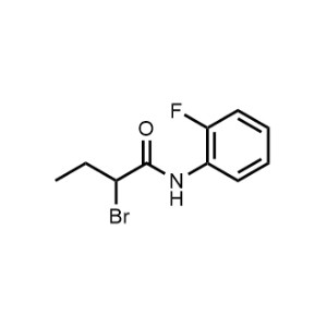 2-Bromo-N-(2-Fluoro-phenyl)-butyramide|CS-0761154