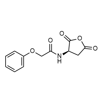 (R)-N-(2,5-Dioxotetrahydrofuran-3-Yl)-2-phenoxyacetamide|CS-0764694