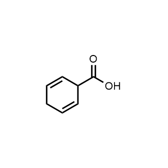 Cyclohexa-2,5-Dienecarboxylic acid|CS-0764697