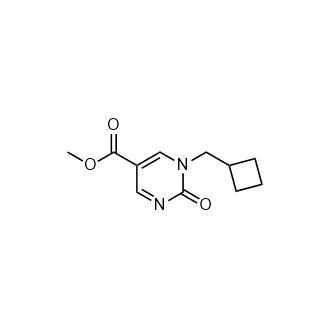Methyl 1-(Cyclobutylmethyl)-2-oxo-1,2-dihydropyrimidine-5-carboxylate|CS-0766955