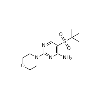 5-(Tert-Butylsulfonyl)-2-morpholinopyrimidin-4-amine|CS-0767716