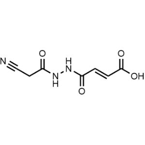 4-[2-(2-Cyanoacetyl)Hydrazino]-4-oxobut-2-enoic acid|CS-0771369
