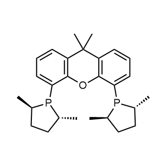 4,5-Bis[(2R,5R)-2,5-dimethyl-1-phospholanyl]-9,9-dimethyl-9H-xanthene|CS-0775328