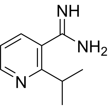 2-Isopropylnicotinimidamide|CS-0775893
