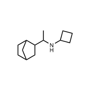 N-(1-(Bicyclo[2.2.1]heptan-2-yl)ethyl)cyclobutanamine|CS-0776638