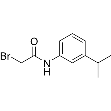 2-Bromo-n-(3-isopropylphenyl)acetamide|CS-0777117