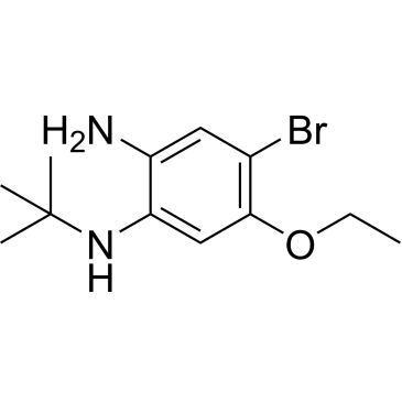 4-Bromo-n1-(tert-Butyl)-5-ethoxybenzene-1,2-diamine|CS-0777596