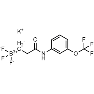 Potassium trifluoro(3-oxo-3-((2-(trifluoromethoxy)phenyl)amino)propyl)borate|CS-0779812