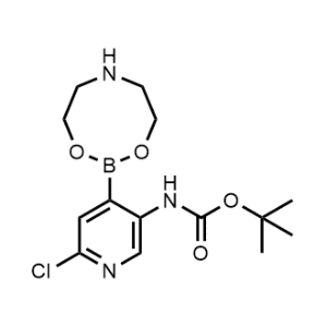 tert-Butyl (6-chloro-4-(1,3,6,2-dioxazaborocan-2-yl)pyridin-3-yl)carbamate|CS-0783661