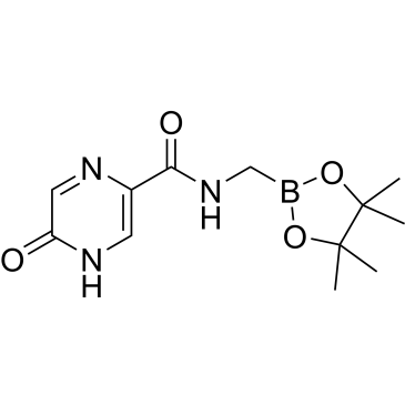 6-Oxo-N-[(4,4,5,5-tetramethyl-1,3,2-dioxaborolan-2-yl)methyl]-1H-pyrazine-3-carboxamide|CS-0800545