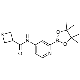 N-[2-(4,4,5,5-Tetramethyl-1,3,2-dioxaborolan-2-yl)-4-pyridyl]thietane-3-carboxamide|CS-0800548