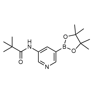 2,2-Dimethyl-N-[5-(4,4,5,5-tetramethyl-1,3,2-dioxaborolan-2-yl)-3-pyridyl]propanamide|CS-0800839