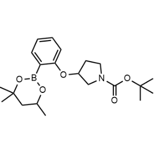 tert-Butyl 3-(2-(4,4,6-trimethyl-1,3,2-dioxaborinan-2-yl)phenoxy)pyrrolidine-1-carboxylate|CS-0804507